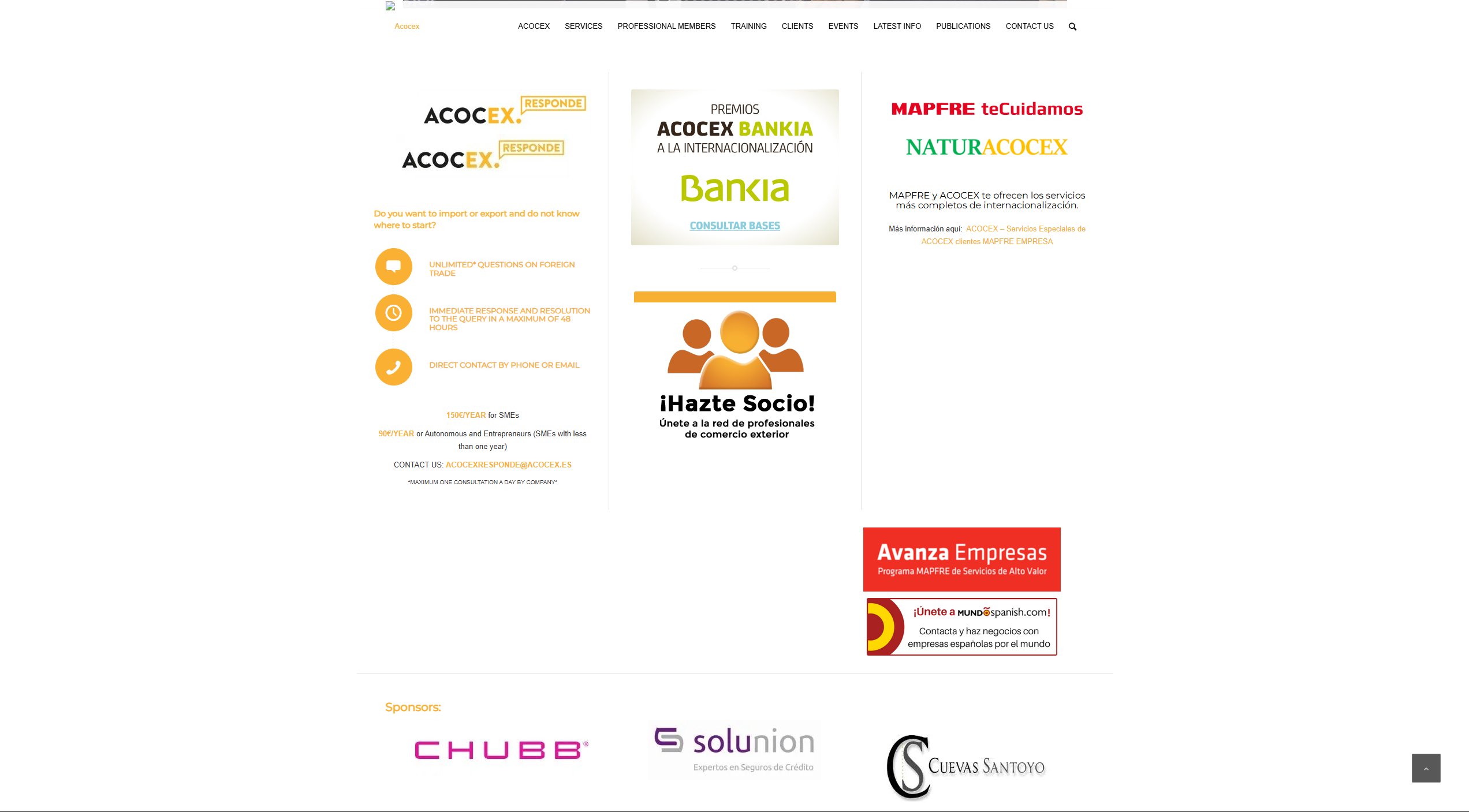 Web antigua antes del rediseño · consultoría internacional